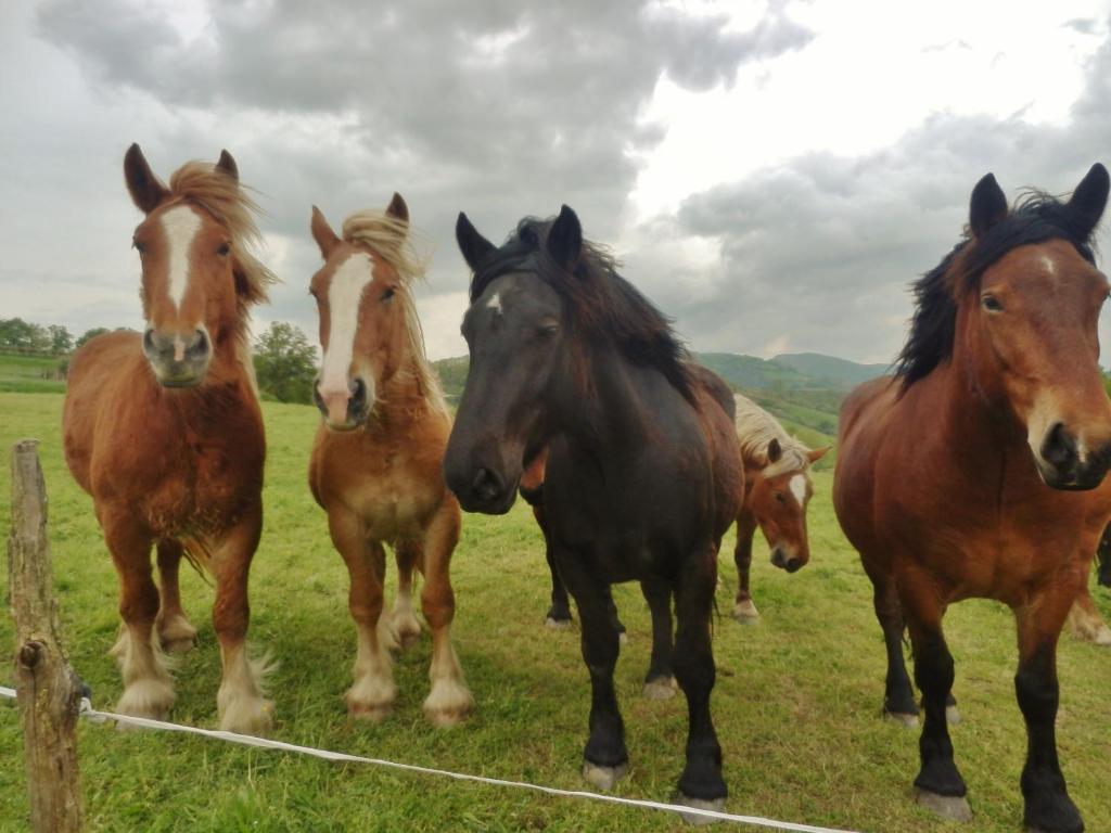 Casa Rural Aldekoa Ziga Bagian luar foto